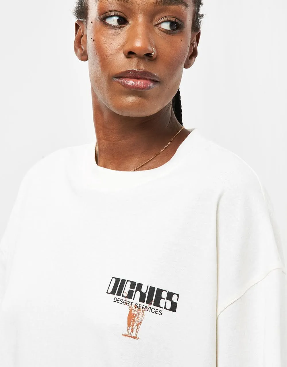 Dickies Pearisburg T-Shirt - Cloud