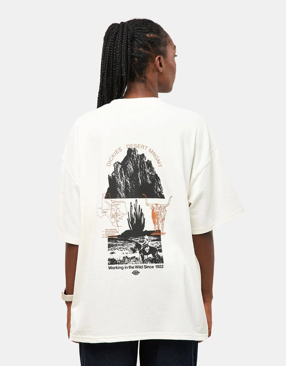 Dickies Pearisburg T-Shirt - Cloud