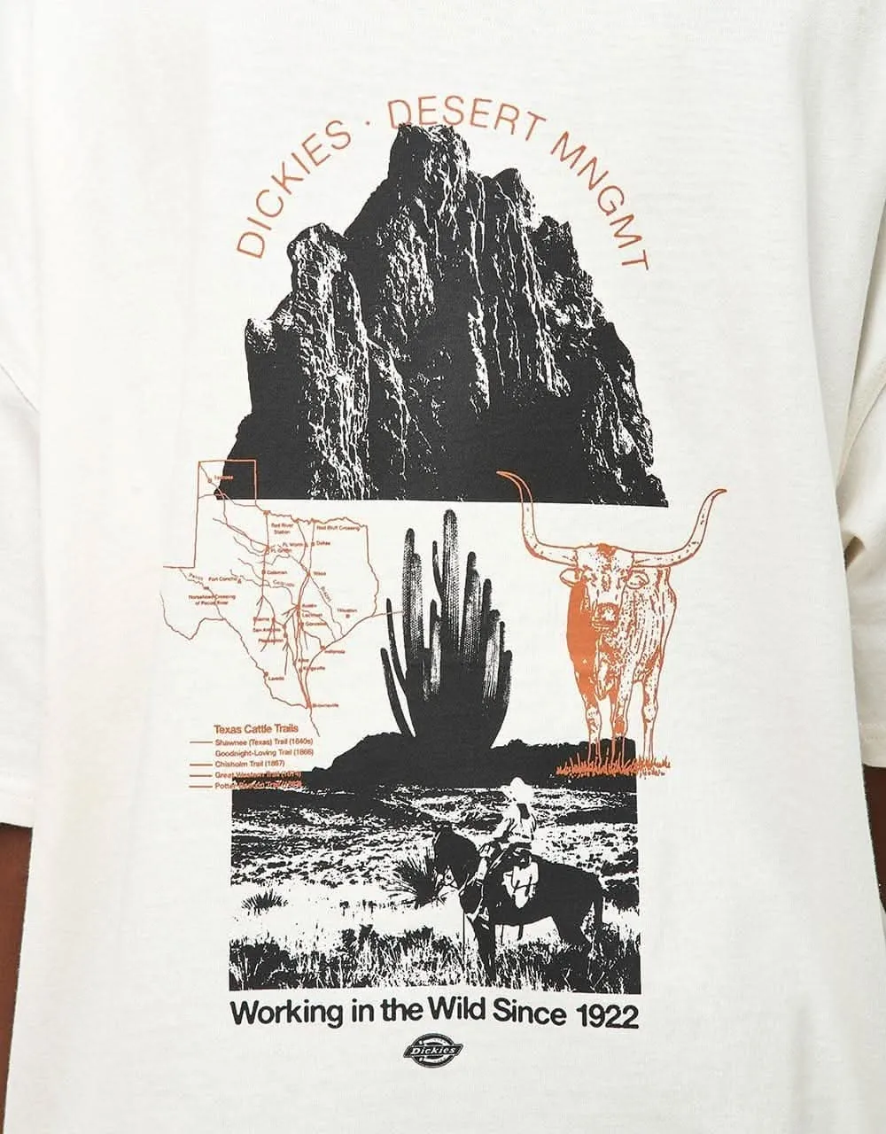 Dickies Pearisburg T-Shirt - Cloud